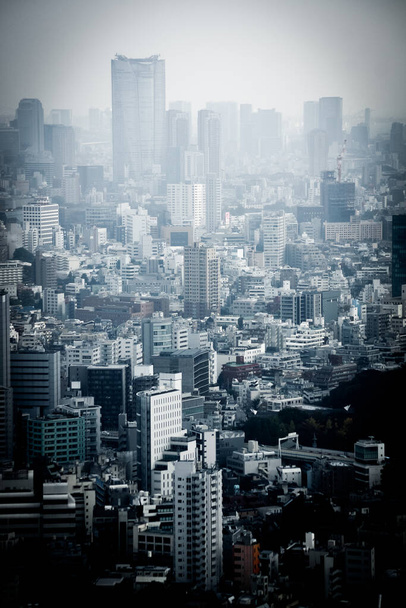 東京都庁舎展望台から見た東京スカイライン - 写真・画像