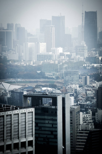 Tokyo Metropolitan Hükümet Gözlemevi 'nden Tokyo silueti görüldü - Fotoğraf, Görsel