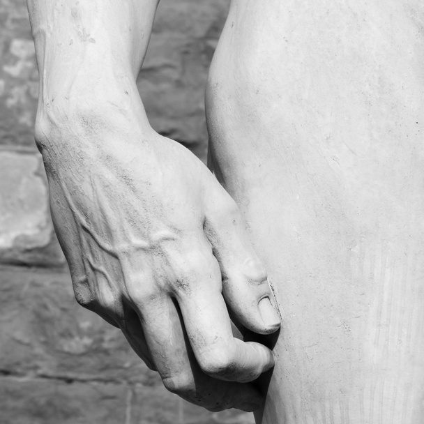 David vytvarovaný Michelangelo - Fotografie, Obrázek