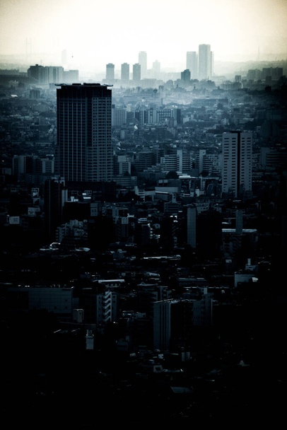 O horizonte de Tóquio visto do observatório do edifício do governo metropolitano de Tóquio
 - Foto, Imagem
