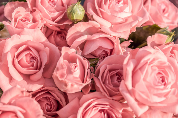 Background of pink roses close-up. Bouquet of roses close-up. - Foto, afbeelding