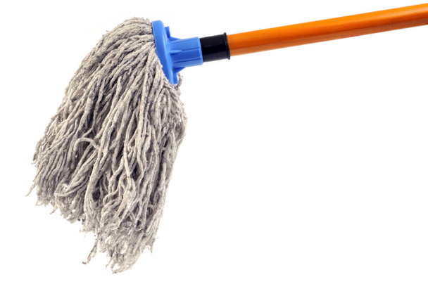 Spanish broom close up on white background  - Φωτογραφία, εικόνα