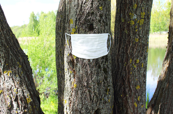 Bäume in der Natur werden mit medizinischen Masken vor einer Pandemie geschützt - Foto, Bild