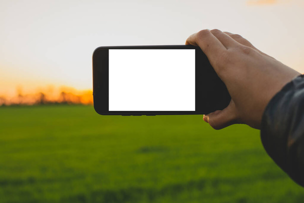 moderne telefoon in de hand met wit scherm op zonsondergang achtergrond - Foto, afbeelding