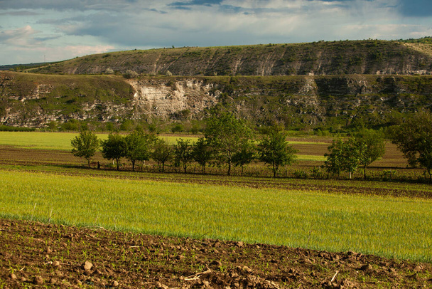 Όμορφο καλοκαιρινό τοπίο στη Δημοκρατία της Μολδαβίας. Πράσινο τοπίο. Ανοιξιάτικη φύση. Πάρκο με πράσινο γρασίδι και δέντρα. Φρέσκο χωράφι και λόφοι. αγροτικό τοπίο.  - Φωτογραφία, εικόνα