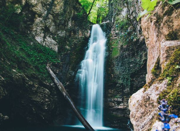 In a mountain forest, a waterfall in a gorge - Foto, afbeelding