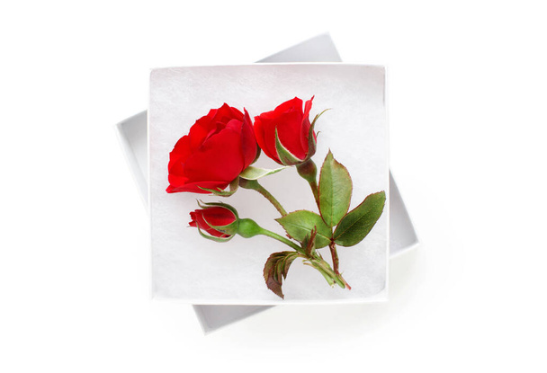 Růže v bílé dárkové krabici izolované na bílém pohledu shora - Fotografie, Obrázek