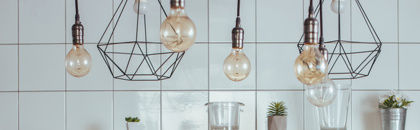 concepto panorámico de bombillas cerca de elementos decorativos, plantas en macetas y frascos en la cocina moderna
 - Foto, imagen