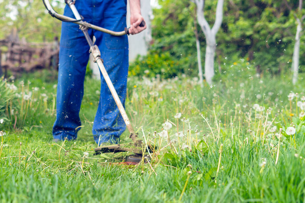 The gardener mows the grass with a trimmer in the spring garden. - Fotografie, Obrázek