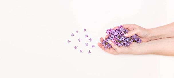 Concept of hand care, anti-wrinkle, anti-aging cream, Spa. Beautiful women's hands with lilac flowers on a white background, top view, banner. - Photo, Image