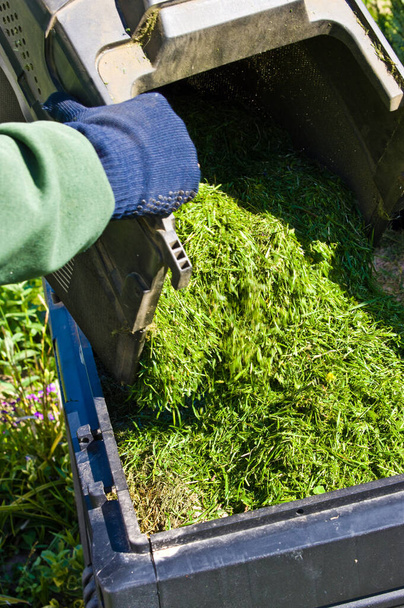 Un jardinier vidant l'herbe déplacée dans une boîte de composteur gris ou une poubelle. Recyclage et compostage abstraits. Jardinage retenue
. - Photo, image