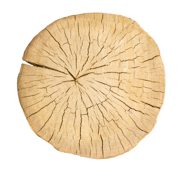 kulaté popraskané dřevo izolované - Fotografie, Obrázek
