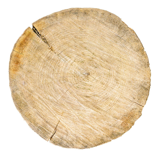 Rundum rissiges Holz isoliert - Foto, Bild