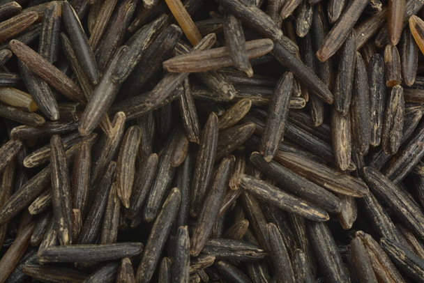 Wild rice, composition as a background - Foto, immagini