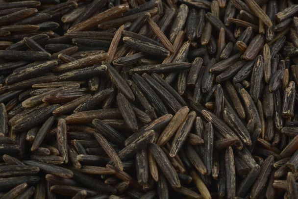Wild rice, composition as a background - Foto, immagini
