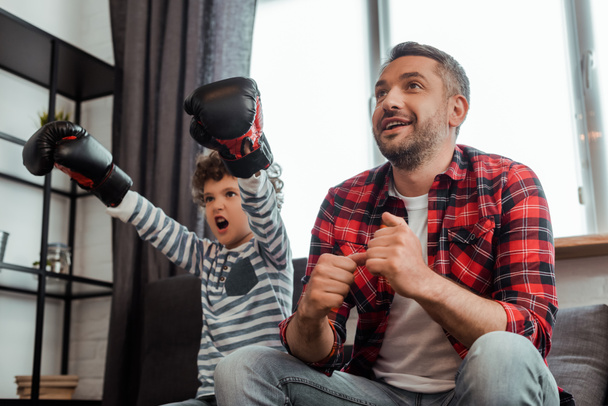 happy man watching championship near emotional son in boxing gloves - Photo, Image