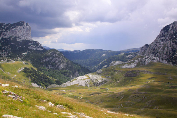 Durmitor Ring weg panorama in Montenegro nationaal park. Landschap van hoge bergen, groene alpenvegetatie en bochtige weg - Foto, afbeelding