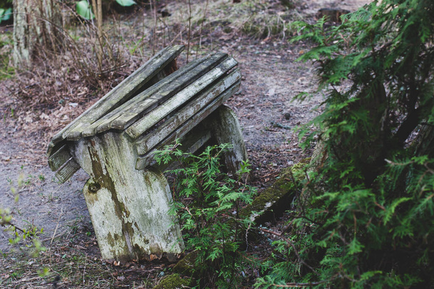 Stará opuštěná dřevěná lavička v lese. Rozbitá prkna. Loupající se barva. Tónovaný. Vodorovně. - Fotografie, Obrázek