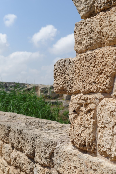 Antico muro di pietra anticato nel parco archeologico di Nahal Taninim in Israele
 - Foto, immagini