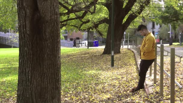 Μόνος άνδρες με κίτρινο σακάκι χρησιμοποιώντας smartphone στο πάρκο του φθινοπώρου. - Πλάνα, βίντεο