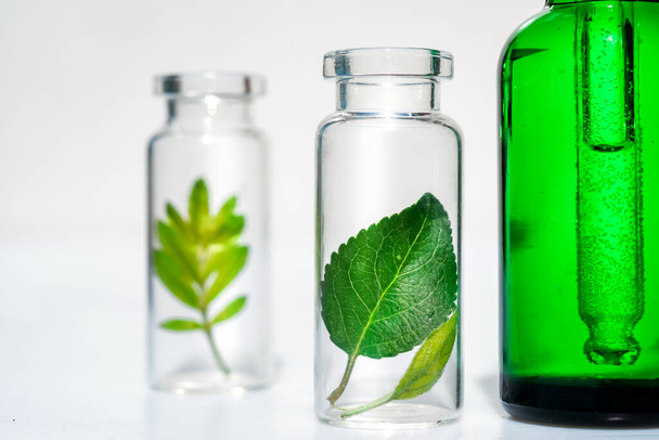 Homeopaattiset kasviöljyt. Orgaanisen, biokosmetiikan ja elintarvikelisäaineiden käsite
 - Valokuva, kuva