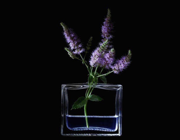 Növények és virágok csendélete - Fotó, kép