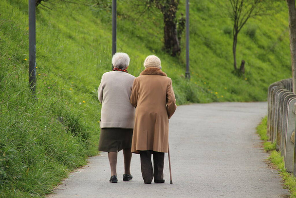 Ageing people walking in the park - Valokuva, kuva