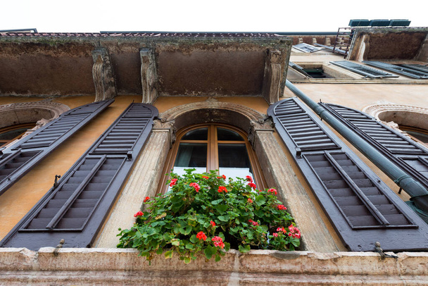 Vaakasuora kuva kauniista ikkunasta kukkia Veronassa, Italiassa
 - Valokuva, kuva