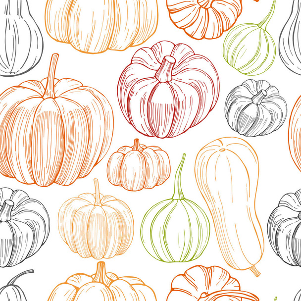  Vector seamless pattern with hand drawn pumpkins on white background - Vettoriali, immagini