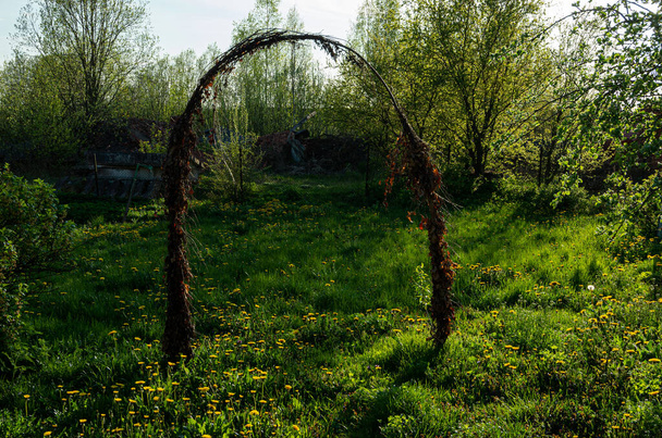 Oude festivalboom tak poort in paardenbloem weide, groen - Foto, afbeelding