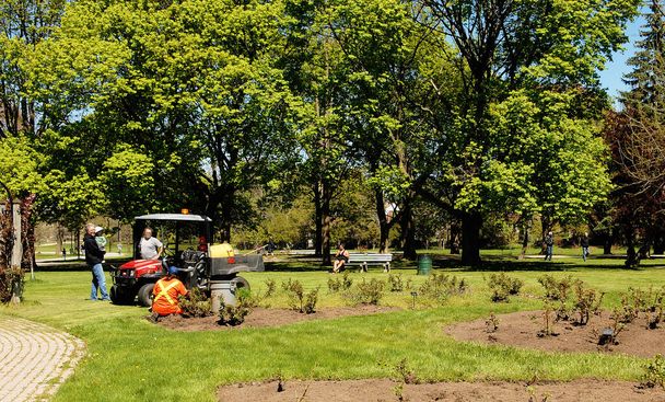 An image in a park with a woman is working to plant new flowers, wit - Фото, изображение