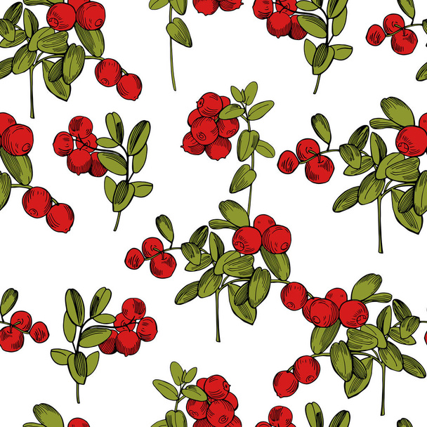 Wektor bezszwowy wzór z ręcznie rysowane jagody leśne. Lingonberry. Żurawina - Wektor, obraz