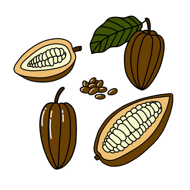 Kakaofrüchte und Bohnen-Doodle-Symbol, Vektorillustration - Vektor, Bild