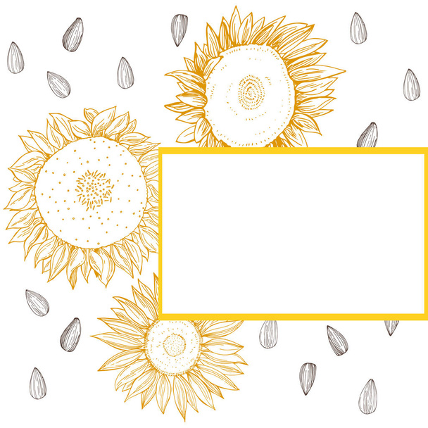 Vector frame with hand drawn sunflower.   - Vector, Image