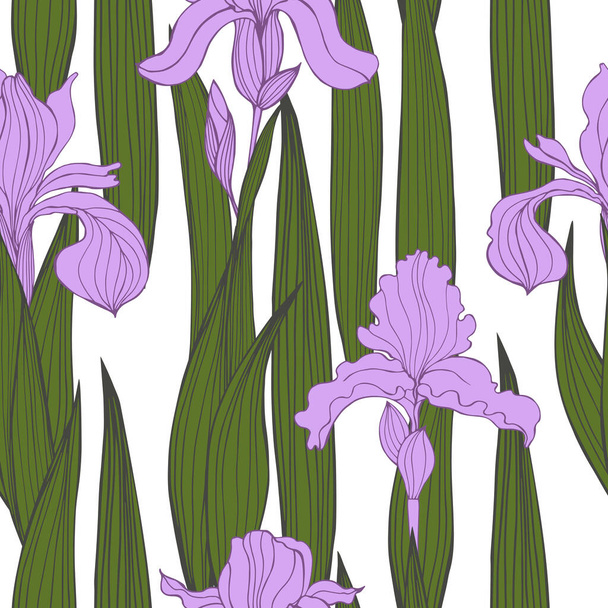 Flores de iris dibujadas a mano. Patrón sin costura vectorial
.  - Vector, imagen