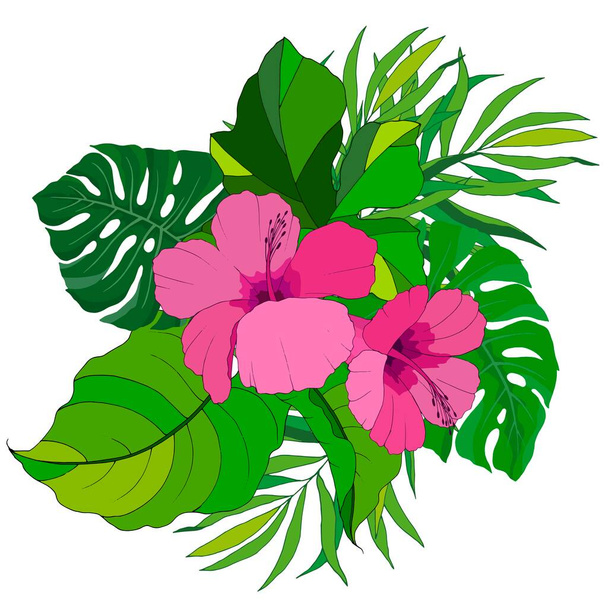 composition of flowers and leaves, tropical plants, vector illustration, isolate on a white background - Wektor, obraz