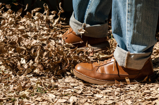 primer plano zapatos de moda de cuero marrón en el jardín (sesión al aire libre
) - Foto, Imagen