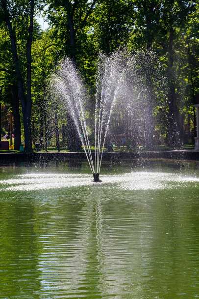 Jezero s fontánou v Gorky parku v Charkově, Ukrajina - Fotografie, Obrázek