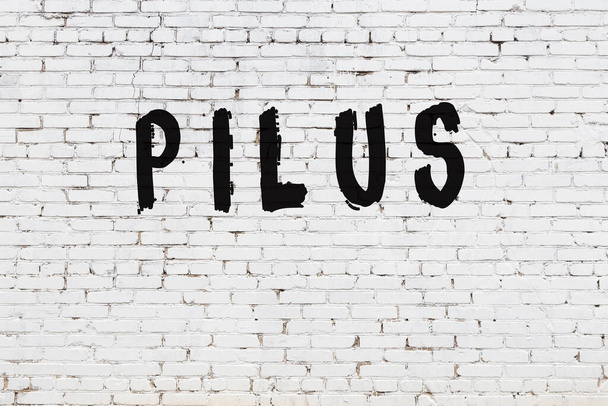 Word pilus painted on white brick wall - Fotó, kép