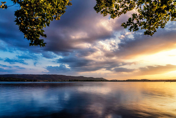 美しい湖の上の木｜ラドルフツェル湖のコンスタンス湖 - 写真・画像