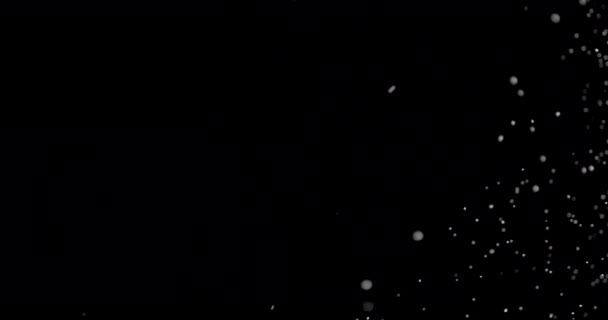 Autentický efekt sněhu na černém pozadí - Záběry, video