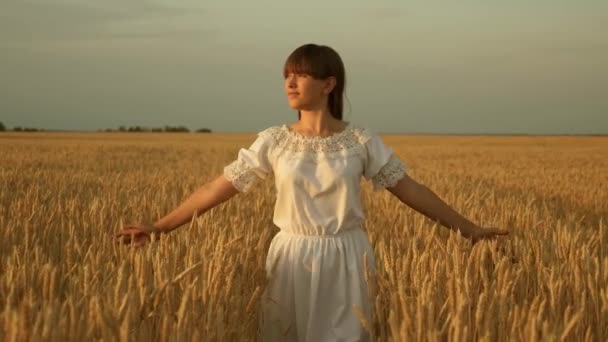 Schöne gesunde Bäuerin genießt die Natur auf einem Weizenfeld bei buntem Sonnenuntergang. Ein freies junges Mädchen geht durch das Feld und berührt mit der Hand Ähren. Ökotourismus - Filmmaterial, Video