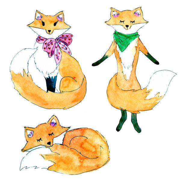 Three watercolor ginger foxes 14"x14" 300 dpi - Photo, Image