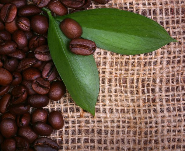 Кофейные бобы и листья на фоне бурлапа
. - Фото, изображение