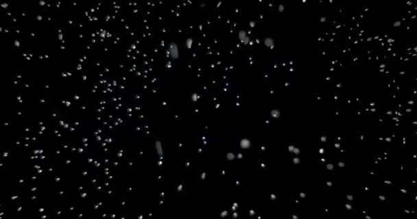 Copos de nieve cayendo por la noche - Metraje, vídeo