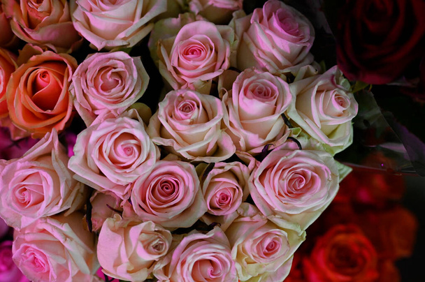 buquê de belas rosas no dia ensolarado de verão, vista de perto
  - Foto, Imagem