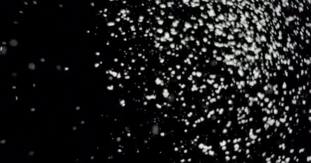 Λευκές νιφάδες χιονιού αιωρούνται στον αέρα - Πλάνα, βίντεο