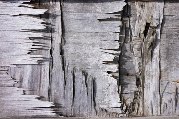 Old wood texture - Фото, изображение