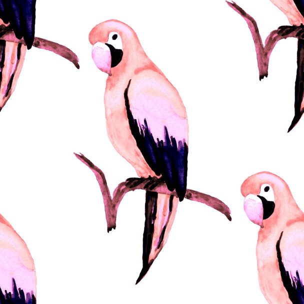 Aquarel naadloos patroon met papegaai. Exotische jungle vogel behang. Geweldig ontwerp voor elk doel. Heldere zomerprint. - Foto, afbeelding