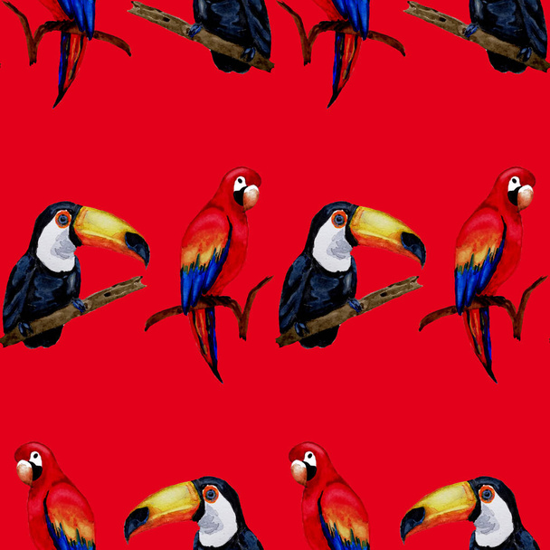 Watercolor seamless pattern with toucan, macaw parrot and hummingbird. Summer tropical illustration. Seamless abstract wild exotic animal print. Cute cartoon wild animal. - Photo, Image